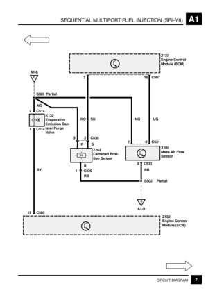 Page 26SEQUENTIAL MULTIPORT FUEL INJECTION (SFI±V8)A1
7CIRCUIT DIAGRAM
S503
C
A1-6
D
A1-9
1 C514 2 C514
19 C505Partial2 C50716
Z132
Engine Control
Module (ECM)
NO
SY
Z132
Engine Control
Module (ECM) X105
Mass Air Flow
Sensor K132
Evaporative
Emission Can-
ister Purge
Valve
S502 Partial RBRB 3
C530B RS NO UGNO
Z262
Camshaft Posi-
tion Sensor
2 C530SU
2 1 C531
C531
13 