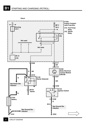 Page 54STARTING AND CHARGING (PETROL)B1
2CIRCUIT DIAGRAM
P125a
Engine Compart-
ment Fuse Box
[12] Fuel Pump
Relay
[16] Starter
Relay30
MF 2
30 A15
RL16
[16]
Not used
RL12
[12]
Not used31
2 5
P104
Battery
See Power Dis-
tributionK136
Starter Solenoid
See Ground Dis-
tribution
6 C177
2C113WR1 C508
NR R
R
R
B
6 C257
2 C238WR
4 C238
B
0III
IIIZ238
Body Electrical
Control Module
(BECM)
X134
Ignition Switch
S215M
See Ground Dis-
tribution
M134
Starter
Shorting
Link 1
E181 E252 1
30 50
Petrol
1 C516 