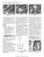Page 610Undo the four nuts securing the cooling
fan cowling to the rear of the radiator and
manoeuvre the fan assembly out of the engine
compartment (see illustrations).
11To dismantle the assembly, first prise off
the fan retaining circlip, then lift the fan off the
motor spindle. Undo the three nuts which
secure the motor assembly to the cowling
then release the motor wiring and connector
and separate the motor and cowling (see
illustration).
Refitting
12Refitting is a reverse of the removal
procedure,...
