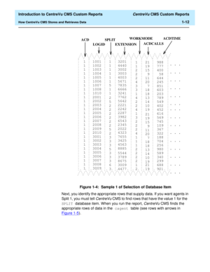 Page 28  Introduction to CentreVu CMS Custom Reports CentreVu CMS Custom Reports
How CentreVu CMS Stores and Retrieves Data1-12
Figure 1-4:  Sample 1 of Selection of Database Item
Next, you identify the appropriate rows that supply data. If you want agents in 
Split 1, you must tell 
CentreVu CMS to find rows that have the value 1 for the 
SPLIT database item. When you run the report, 
CentreVuCMS finds the 
appropriate rows of data in the cagent table (see rows with arrows in 
Figure 1-5
).
. . .. . .. . .
. ....