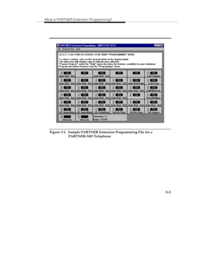 Page 50What is PARTNER Extension Programming?
   3-3
Figure 3-1.  Sample PARTNER Extension Programming File for a
PARTNER-34D Telephone 