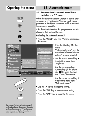 Page 3232
Opening the menu13. Automatic zoom
The menu item Automatic zoom is not
available in a 2 ** menu.
When the automatic zoom function is active, pro-
grammes in a widescreen format (such as pro-
grammes in 16:9) are expanded to fill as much of
the screen as possible.
If the function is inactive, the programmes are dis-
played in their original format.
Activating the automatic zoom 
2)
• Press the MENU key. The TV menu appears on
the screen.
• Press the blue key  . The
menu 
Picture and sound and the
menu...