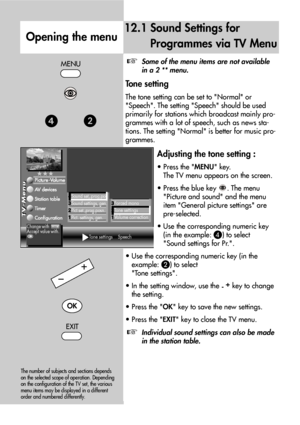 Page 2626
12.1 Sound Settings for
Programmes via TV Menu
Opening the menu
Some of the menu items are not available
in a 2 ** menu.
Tone setting
The tone setting can be set to Normal or
Speech. The setting Speech should be used
primarily for stations which broadcast mainly pro-
grammes with a lot of speech, such as news sta-
tions. The setting Normal is better for music pro-
grammes.
Adjusting the tone setting :
• Press the MENU key.
The TV menu appears on the screen.
• Press the blue key . The menu 
Picture and...