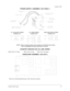 Page 42Gauntlet: Dark Legacy43
Chapter 4 Parts
POWER SUPPLY ASSEMBLY (20-10400.1)
COUNTRY SPECIFIC IEC AC LINE CORDS
5850-15521-01 (USA) 5850-15521-03 (UK) 5850-15521-06 (Japan)
VIDEOCARD ASSEMBLY (20-10511)
There are no field replaceable parts in the videocard assembly.
D.C. MAIN POWER
CONNECTORA.C. AUXILIARY POWER
CONNECTORHARD DISK DRIVE POWER
CONNECTOR 