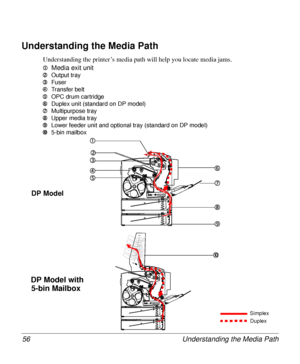 Page 56Understanding the Media Path 56
Understanding the Media Path
Understanding the printer’s media path will help you locate media jams. 
c
cc cMedia exit unit
d
dd d
Output tray
e
ee e
Fuser
f
ff f
Transfer belt
g
gg g
OPC drum cartridge
h
hh h
Duplex unit (standard on DP model)
i
ii i
Multipurpose tray
j
jj j
Upper media tray
k
kk k
Lower feeder unit and optional tray (standard on DP model)
l
ll l
5-bin mailbox
 
Simplex
Duplex
c
cc c
d
dd d
DP Model
DP Model with
5-bin Mailbox
e
ee e
f
ff f
g
gg gh
hh h...