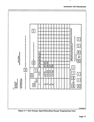 Page 25Automatic Call Distribution 
Figure 4-l Hunt Groups Agent/Recording Groups Programming Form 
Page 17  