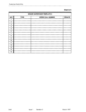 Page 336Customer Data Entry 
Sheet 5 of 5 
SENIOR SUPERVISOR TEMPLATE 3 
B-64 Issue 1 Revision 0 March 1997  