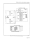 Page 105Shipping, Receiving, And Installation Information 
I TRUNK 1 
pilq 
TRUNK 2 TR2 TRI 
Fhiij 
8 
TRUNK BUSY 
SWITCHES 
HIGH IMPEDANCE SWITCHES 
TRUNK BUSY SWITCHES (NOTES 1 AND 2) 
I 
‘.‘CO~:““( +jTRuNK 2p ( 
CLOSED 
CLOSED 
CLOSED 
CLOSED 
OPEN 
CLOSED 
CLOSED 
CLOSED 
CLOSED 
CLOSED 1 
2 
3 
4 
5 
6 
7 
8 
9 
10 OUTGOING 
IDLE 
INCORnING 
IDLE NORMAL 
SETTING 
1 = OPEN 
2 = OPEN 
3 = OPEN 
4 = OPEN 
5 = CLOSED 
6 = CLOSED 
7 = CLOSED 
8 = CLOSED 
TRUNK CONTROL SWITCHES 
NORMAL SWITCH 
SETTING .NUMBER...