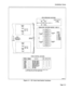 Page 197Installation Forms 
HIGH IMPEDANCE SWITCHES 
/ OPEN  NORMAL SETTING 
GND HIGH Z 1 = OPEN 
2 = CLOSED 
(NOTE 1O)XT HIGH-Z (NOTE 11) 
TRUNK 2 TR2 TRI 
:~-iiiij -48V NORMAL 
TRUNK BUSY SWITCHES (NOTES 1 AND 2) 
NORMAL 
SETTING 
1 = OPEN 
2 = OPEN 
3 = OPEN 
4 = OPEN 
5 = CLOSED 
6 = CLOSED 
7 = CLOSED 
8 = CLOSED  OUTGOING 
IDLE 
0 B OPEN 
II 10-i 
A TRUNK CONTROL 
SWITCHES TRUNK BUL 
SWITCHES 
PROMS 
 
TRUNK 2k 
TRUNK/+ 
TRUNK4 INCOMING 
IDLE 
TRUNK 4 TR4 TR3 
@iii; 
I 1 
hd 
TRUNK CONTROL SWITCHES 
NORMAL...