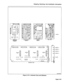 Page 91Shipping, Receiving, And Installation Information 
MUSIC ON 
HOLD/PAGER 
MODULE RECEIVER/RELAY 
MODULE --j---t 
CONSOLE 
MODULE E&M TRUNK 
LED’s 
UNIVERSAL CARD i. -SWITCH 
J 
J MODULE 1 
J MODULE 2 
I MODULE 3 
04--- MODULE 4 
T ALARM 
I 
4 z 
KAOOPlROEO 
Figure 5-18 Universal Card and Modules 
Page 5-45  