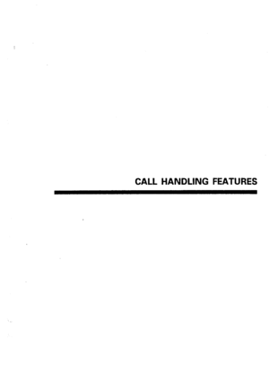 Page 29CALL HANDLING FEATURES  