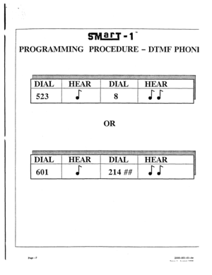 Page 451PROGRAMMING PROCEDURE - DTMF PHONE 
DIAL 1 HEAR DIAL t HEAR 
523 
s 
8 ss 
OR 
DIAL 1 HEAR DIAL t HEAR 
601 
s 214 ## 
Page -7 2000-OOI-Ol-Ae  