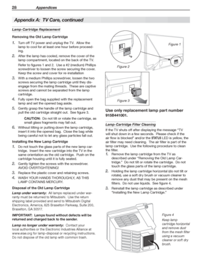 Page 2828 Appendices
For assistance call 1(800) 332-2119
Lamp-Cartridge Replacement
Removing the Old Lamp Cartridge
Turn off TV power and unplug the TV.  Allow the 1. 
lamp to cool for at least one hour before proceed-
ing.
After the lamp has cooled, remove the cover of the 2. 
lamp compartment, located on the back of the TV.
Refer to figures 1 and 2.  Use a #2 (medium) Phillips 
screwdriver to loosen the screw securing the cover.  
Keep the screw and cover for re-installation
Wi3. th a medium Phillips...