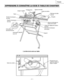 Page 31
–  31  – 
Français

Protège-lame
APPRENDRE À CONNAÎTRE LA SCIE À TABLE DE CHANTIER
Guide de refenteJauge à onglets
Poignée
Aiguille d’inclinaison 
de lame
Échelle d’inclinaison 
de lame
Interrupteur de 
réenclenchement
Interrupteur ON/OFF 
avec clé
Volant de réglage de hauteur 
de lame
Bouton de blocage en 
biseau de la lame
Support
L’arriére de la scie sur table
Gaine du cordon
Rallonge de table 
latérale
Plaque amovible
Table
Rangement pour 
guide de refente et 
jauge à onglets
Manivelle...