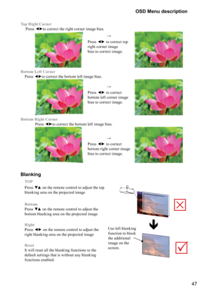 Page 4747 OSD Menu description
Top Right Corner  






