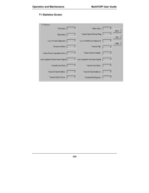 Page 340Operation and Maintenance MultiVOIP User Guide
340
T1 Statistics Screen 