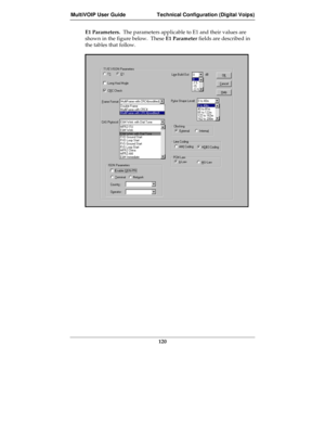 Page 120MultiVOIP User Guide Technical Configuration (Digital Voips)
120
E1 Parameters.  The parameters applicable to E1 and their values are
shown in the figure below.  These E1 Parameter fields are described in
the tables that follow. 