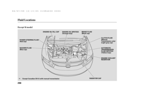 Page 304Î
Î
Fluid Locations
Except Si model
298
RADIATOR CAPAUTOMATIC
TRANSMISSION
FLUID DIPSTICK
(Yellow loop)
ENGINE COOLANT
RESERVOIR CLUTCH FLUID
(Manual
Transmission only)
(Light gray cap)
WASHER FLUID
(Blue cap)BRAKE FLUID
(Black cap) ENGINE OIL DIPSTICK
(Orange loop) ENGINE OIL FILL CAP
: Except Canadian DX-G with manual transmission POWER STEERING FLUID
(Red cap)
——y

y
(#yy 