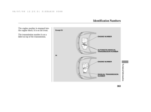 Page 369The engine number is stamped into
the engine block. It is on the f ront.
The transmission number is on a
label on top of the transmission.
Identif ication Numbers
T echnical Inf ormation
363
MANUAL TRANSMISSION
NUMBER ENGINE NUMBER ENGINE NUMBER
AUTOMATIC/MANUAL
TRANSMISSION NUMBER Except Si
Si
——y

y
(#yy 