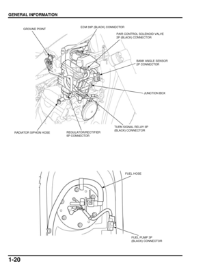 Page 251-20
dummyhead
dummyhead
GENERAL INFORMATION
ECM 33P (BLACK) CONNECTORGROUND POINT
BANK ANGLE SENSOR 
2P CONNECTOR
PAIR CONTROL SOLENOID VALVE 
2P (BLACK) CONNECTOR
TURN SIGNAL RELAY 3P 
(BLACK) CONNECTOR
JUNCTION BOX
REGULATOR/RECTIFIER 
5P CONNECTOR
FUEL HOSE
FUEL PUMP 3P 
(BLACK) CONNECTOR
RADIATOR SIPHON HOSE 