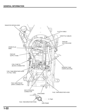 Page 271-22
dummyhead
dummyhead
GENERAL INFORMATION
CLUTCH CABLE
THROTTLE CABLES
RADIATOR SIPHON HOSE
RESERVE TANK 
OVERFLOW HOSE
PAIR AIR 
SUCTION HOSE
PAIR AIR 
SUPPLY HOSE
FUEL PUMP 3P 
(BLACK) CONNECTOR
IACV 4P (BLACK) 
CONNECTOR
FUEL INJECTOR 2P 
(GRAY) CONNECTOR
SPARK PLUG 
WIRE
FUEL TANK BREATHER HOSE 
(To FUEL TANK)
FUEL TANK BREATHER HOSE
FUEL TANK BREATHER HOSESUB-FRAME
Right
HOSE BAND 