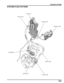 Page 1669-3
dummyhead
dummyhead
COOLING SYSTEM
SYSTEM FLOW PATTERN
RADIATOR
SIPHON HOSE
THERMOSTAT
WATER PUMP
RESERVE TANK
WATER HOSE
WATER HOSE
WATER PIPE 