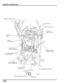 Page 271-22
dummyhead
dummyhead
GENERAL INFORMATION
CLUTCH CABLE
THROTTLE CABLES
RADIATOR SIPHON HOSE
RESERVE TANK 
OVERFLOW HOSE
PAIR AIR 
SUCTION HOSE
PAIR AIR 
SUPPLY HOSE
FUEL PUMP 3P 
(BLACK) CONNECTOR
IACV 4P (BLACK) 
CONNECTOR
FUEL INJECTOR 2P 
(GRAY) CONNECTOR
SPARK PLUG 
WIRE
FUEL TANK BREATHER HOSE 
(To FUEL TANK)
FUEL TANK BREATHER HOSE
FUEL TANK BREATHER HOSESUB-FRAME
Right
HOSE BAND 