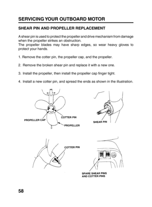 Page 6058 SERVICING YOUR OUTBOARD MOTOR
SHEAR PIN AND PROPELLER REPLACEMENT
A shear pin is used to protect the propeller and drive mechanism from damage
when the propeller strikes an obstruction.
The propeller blades may have sharp edges, so wear heavy gloves to
protect your hands.
1. Remove the cotter pin, the propeller cap, and the propeller.
2. Remove the broken shear pin and replace it with a new one.
3. Install the propeller, then install the propeller cap finger tight.
4. Install a new cotter pin, and...