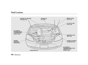 Page 210Fluid Locations
Maint enance208
C
C L
L U
U T
T C
C H
H F
F L
L U
U I
I D
D
(
( G
G r
r a
a y
y c
c a
a p
p )
)
A
A U
U T
T O
O M
M A
A T
T I
I C
C
T
T R
R A
A N
N S
S M
M I
I S
S S
S I
I O
O N
N
F
F L
L U
U I
I D
D D
D I
I P
P S
S T
T I
I C
C K
K
(
( Y
Y e
e l
l l
l o
o w
w l
l o
o o
o p
p )
) E
E N
N G
G I
I N
N E
E O
O I
I L
L D
D I
I P
P S
S T
T I
I C
C K
K
(
( O
O r
r a
a n
n g
g e
e l
l o
o o
o p
p )
) E
E N
N G
G I
I N
N E
E O
O I
I L
L
F
F I
I L
L L
L C
C A
A P
P
E
E N
N G
G I
I N
N E
E
C
C O
O...
