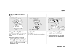 Page 255Removethelensbycarefully
prying on the edge of the lens in
the middle with a f ingernail f ile or
a small f lat-tip screwdriver. Do not
pry on the edge of the housing
around the lens.
Although the ceiling light and
spotlights come apart the same way,
theydonotusethesametypeof
bulbs.
Remove the bulb by pulling it
straight out of its metal tabs.
Push the new bulb into the metal
tabs. Snap the lens back in place.
Spotlights:
Pry on the edge between the lenses.
2.
3.
1.
On LX models
Replacing Bulbs in the...
