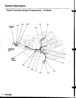 Page 238
System Description
System Gonnectors [Engine Compartmentl -97 Model
MAIN WIREHARNESS
UNOER.HOODFUSE/RELAY80x
1 1-36
....
ct21
cl11
cl16
www.emanualpro.com  