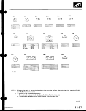 Page 239
cl.t7
r-r=-lr 2l
c 6
eFr11 2l
cl15
lr,rlA
w
Ft RE!wr --l
ft-cRN/sLK, lll
cl11
tl 2l
I3l.l
f,_rrHr-lwHr-------
T!-Isrf,-*--/r*.er* l-;-- BLiuF I]]l
c129
.__1-..]..-r11 2 3l
ffl.E*--------lO stx,YEL ITtlBru/Nr----
c354.
-{-l-r
fd,sLK rHr-----lt-rlBL( I1 9 cFNnEo I
c35l
l4;i;1_s;:a
riiiltTf,n
*2: USA
Different wires with the same color have been given a number suffix to distinguish them {for example, YEUBLKl
and YEUBLK, are not the same).
O: Related to Fuel and Emissions System.- Connector with male...