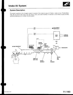 Page 395
Intake Air System
System Description
The system supplies air for all engine needs. lt consists of the intake air pipe, Air Cleaner, intake air duct, Throttle Body
(TB), ldle Air Control (lAC) Valve, fast idle thermo valve, and intake manifold. A resonator in the intake air pipe provides
additional silencing as air is drawn into the system.
INTAKE MANIFOLD
YEL| - - Fiom PGMFI
BLK T MAIN RELAY
IDLETHERMO
lJ- _iuouj
INTAKEAIR DUCT
vaRtousSENSORS
FESONATON
THROTTLEBODY (TB)
1 1-193
www.emanualpro.com  