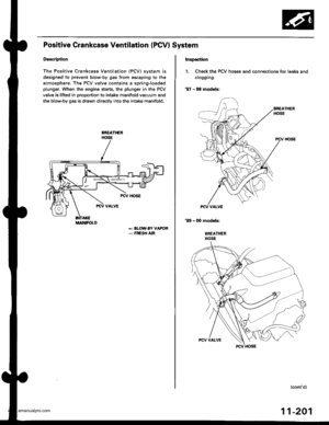 Page 403
Positive Grankcase Ventilation (PGVI System
Description
The Positive Crankcase Ventilation (PCV) svstem is
designed to prevent blow-by gas from escaping to the
atmosphere. The PCV valve contains a spring-loaded
plunger, When the engine starts, the plunger in the PCV
valve is lifted in proportion to intake manitold vacuum and
the blow-by gas is drawn directly into the intake manifold.
-: BLOW.BY VAPOR-: FRESH AIR
i/lAlrllFOLD
Inspoction
1. Check the PCV hoses and connections for leaks and
clogging.
97 -...