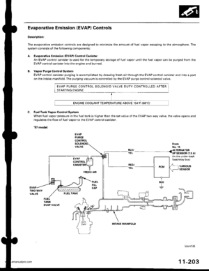 Page 405
EVAP PURGE CONTROL SOLENOID VALVE DUTY CONTROLLED AFTER
STARTING ENGINE
ENGINE COOLANT TEMPERATURE ABOVE 154F (68C)
Evaporative Emission (EVAP) Controls
Description:
The evaporative emission controls are designed to minimize the amount of fuel vapor escaping to the atmosphere. The
system consists of the following components:
A. Evaporative Emission (EVAPI Control Canister
An EVAP control canister is used for the temporary storage of fuel vapor until the luel vapor can be purged from the
EVAP control...