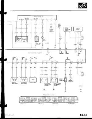 Page 569
NIEFLOCX CONTROL UNIT
XEY LOCX SHFILOCXACCP1JSHSW SOLENOID 61 SOLENO D PPNSW LL] APP GND
l6I
SLTBL!
l
Posti0N
3
YEU8L(
?
IYEUBLK
t,
rt--r| tr-r I
t9il
LJA
1 SNTFl LOCK
L SOTENO D
YEL
SPEEOSENSOn
Y
L
I
i-
Jrl
I
I 
.l .1
T--[T
POWEFTFALN CONTROL MODIJLE (PCM)
i]*BFN BLU/IEL
It-tl
8FN BLI]IEL
Trt f7
l: I onx^*tfJ coNNEcroR
IBLK
i
G10r
0rr 012 lDro
SERVCECHECKCONNECIOF
LOC(,I]P CONIBOLSOLENOIDVALVE
www.emanualpro.com  