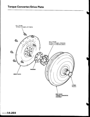 Page 774
Torque Converter/Drive Plate
6 x 1.0 rnin12 N..t| {1.2 kgt.m, 8.7 lbt.frl
DBIVC PTATE
12 x 1.0 mm74 .m (7.5 lgt.m, 54 tbt.ft)Torque in I crisscross oattern.
o
0o
14-258
www.emanualpro.com  