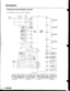 Page 538
Description
Electronic Control System (contd)
Circuit Diagram and Terminal LocationsrgS Model
GNTIONSWITCN
LOCK-UPCONIFOLSOLEIIO D VALVE A
LOCK-UPCONTSOLSOLEI.IO 0 vALvE B
SBIFICONTROLSOLEI€ DVALVE A
SH FTCONTFOLSOLEiDID VALVE 8
LIN€AA SOL€iDIDGNIION SWTCHtGr
14-22
www.emanualpro.com  