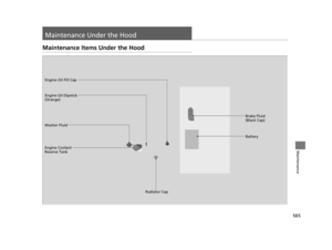 Page 566565
Maintenance
Maintenance Under the Hood
Maintenance Items Under the Hood
Brake Fluid 
(Black Cap)
Washer Fluid
Radiator Cap
Engine Coolant 
Reserve Tank Engine Oil Dipstick 
(Orange) Engine Oil Fill Cap
Battery
16 PILOT-31TG76000.book  565 ページ  ２０１６年１０月１９日　水曜日　午後５時４分 