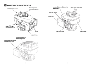 Page 3
2KOMPONENTŲ IDENTIFIKACIJA
56
TEPALO ĮPYLIMO ANGOS DANGTELIS
ŽVAKĖ
DUSLINTUVAS
TEPALO ĮPYLIMO ANGOS DANGTELIS
STARTERIO RANKENA
VIRŠUTINIS DANGTIS (atskiruose tipuose) 
DROSELINËS SKLENDËS SVIRTIS (atskiri tipai)
SMAGRAČIO STABDŽIO SVIRTIS(atskiri tipai)
VALDYMO SVIRTIS
ORO FILTRAS
KURO BAKO DANGTELIS
KURO VOŽTUVASKURO BAKAS 