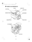 Page 55
NAMEN VAN ONDERDELEN
OLIEVULDOP UITLAATDEMPER LUCHTFILTER
BRANDSTOFTANKDOP
BRANDSTOFTANKBOUGIE CHOKESTANG
REGELHENDEL
STARTERGREEP
SPOELSTARTER
06/12/01 19:52:44 39Z2L600_005 