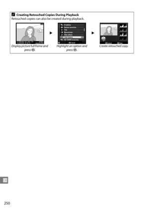 Page 270
250
U
ACreating Retouched Copies During Playback
Retouched copies can also be created during playback.
22
Display picture full frame and  press J. Highlight an option and 
pressJ. Create retouched copy. 