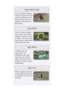 Page 17While stopped, press 
and  while steering le
or right with  to turn o
the spot
Press  when jumpin
over ramps and simila
objects to perform a tric
in midair. Get the timin
right to  get a  brief spee
boost when you land.
If you continue drifting
the blue sparks will tur
orange. Releasing  a
this point will give you 
greater boost than th
Mi ni- Turb o.
Colliding with a
opponent in a
anti gravity zone wi l
cause you to bounc
away from each other
givi ng you both a slight
speed boost.
t s o o B   n i p...