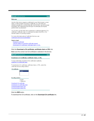 Page 1596 - 65
Click the Download a CA certificate, certificate chain or CRL link. 
Make sure the correct root CA certificate is selected in the list box.
Click the DER button.
To download the CA certificate, click on the Download CA certificate link. 