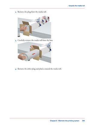 Page 2492.Remove the plug from the media roll.
3.Carefully remove the media roll from the box.
4.Remove the other plug and plastic around the media roll.
Chapter 6 - Maintain the printing system
249
Unpack the media roll
Downloaded From ManualsPrinter.com Manuals 