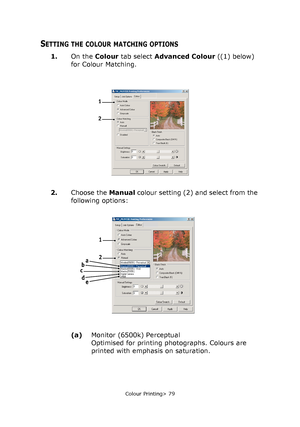 Page 79
Colour Printing> 79
SETTING THE COLOUR MATCHING OPTIONS
1.On the  Colour tab select  Advanced Colour  ((1) below) 
for Colour Matching.
2. Choose the  Manual colour setting (2) and select from the 
following options:
(a) Monitor (6500k) Perceptual
Optimised for printing photographs. Colours are 
printed with emphasis on saturation.
1
2
1
c
2a
e
b
d
Downloaded From ManualsPrinter.com Manuals 