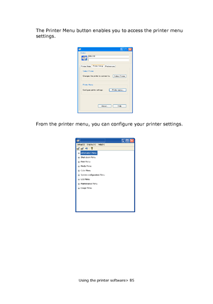 Page 85
Using the printer software> 85
The Printer Menu button enables you to access the printer menu 
settings. 
From the printer menu, you can configure your printer settings.
Downloaded From ManualsPrinter.com Manuals 