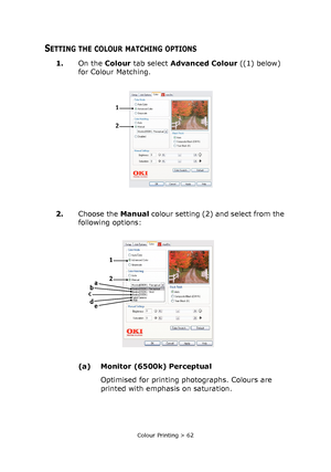 Page 62Colour Printing > 62
SETTING THE COLOUR MATCHING OPTIONS
1.On the Colour tab select Advanced Colour ((1) below) 
for Colour Matching.
2.Choose the Manual colour setting (2) and select from the 
following options:
(a) Monitor (6500k) Perceptual
Optimised for printing photographs. Colours are 
printed with emphasis on saturation.
1
2
1
c
2a
e b
d
Downloaded From ManualsPrinter.com Manuals 