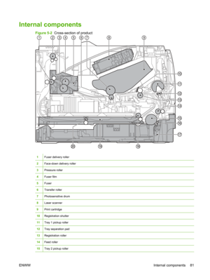 Page 93Internal components
Figure 5-2  Cross-section of product
1Fuser delivery roller
2Face-down delivery roller
3Pressure roller
4Fuser film
5Fuser
6Transfer roller
7Photosensitive drum
8Laser scanner
9Print cartridge
10Registration shutter
11Tray 1 pickup roller
12Tray separation pad
13Registration roller
14Feed roller
15Tray 2 pickup roller
ENWW Internal components 81 