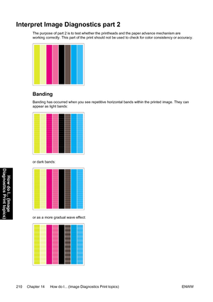 Page 224Interpret Image Diagnostics part 2
The purpose of part 2 is to test whether the printheads and the paper advance mechanism are
working correctly. This part of the print should not be used to check for color consistency or accuracy.
Banding
Banding has occurred when you see repetitive horizontal bands within the printed image. They can
appear as light bands:
or dark bands:
or as a more gradual wave effect:
210 Chapter 14   How do I... (Image Diagnostics Print topics) ENWW
How do I... (Image
Diagnostics...